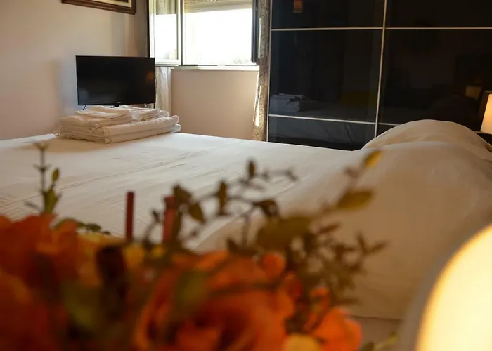 Il Mare Do Zu Pippo *